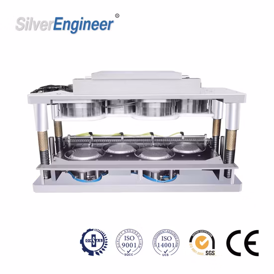 Professionelles Team, professionelle Technologie, maßgeschneiderte Produktion, hoch